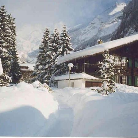 Familienferien Im Chalet Baergli カンデルシュテッグ エクステリア 写真