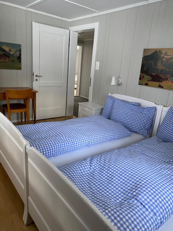 Familienferien Im Chalet Baergli カンデルシュテッグ エクステリア 写真