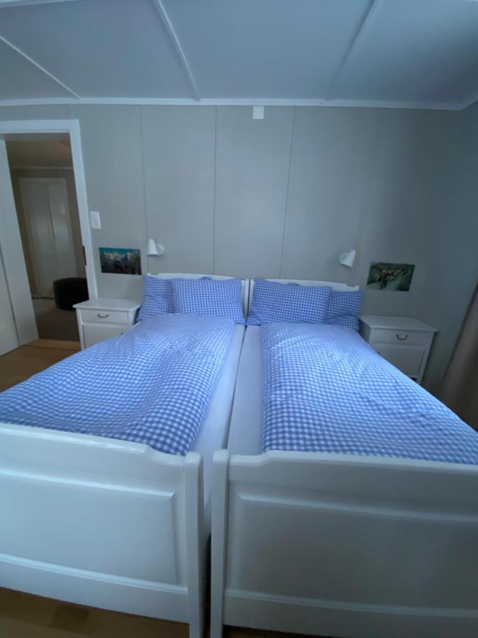 Familienferien Im Chalet Baergli カンデルシュテッグ エクステリア 写真