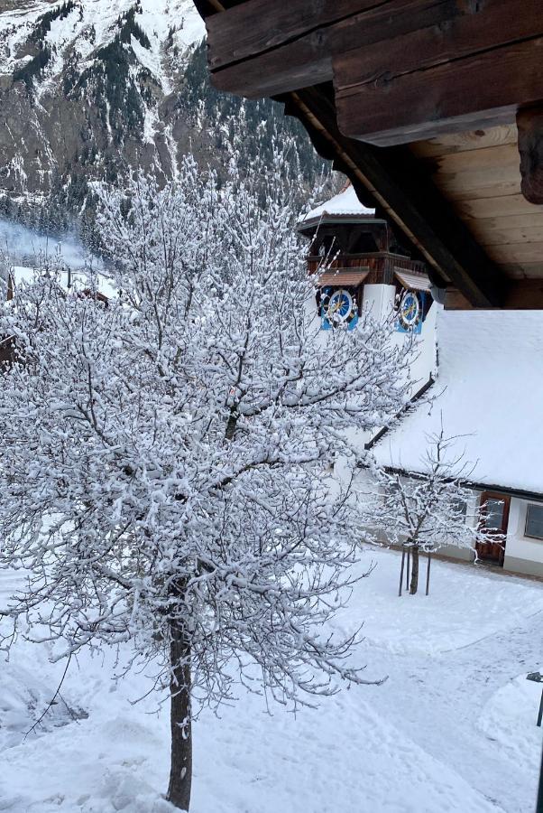 Familienferien Im Chalet Baergli カンデルシュテッグ エクステリア 写真